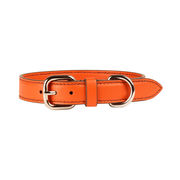 Collare M in pelle Pet Arancio Collare M in pelle Pet Arancio