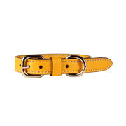 Collare M in pelle Pet Giallo Collare M in pelle Pet Giallo