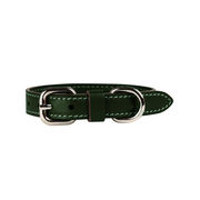 Collare XS in pelle Pet Verde Collare XS in pelle Pet Verde