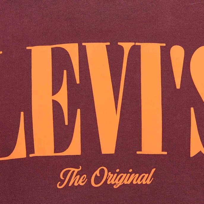 FELPA CON CAPPUCCIO RELAXED GRAPHIC SERIF LOGO Uomo Bordeaux Arancio