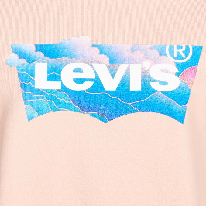 FELPA GRAPHIC STANDARD CLOUD Donna Powder Pink