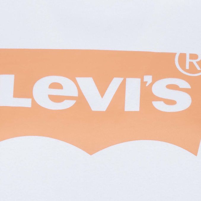 FELPA LOGO GRAPHIC STANDARD Donna White Nude