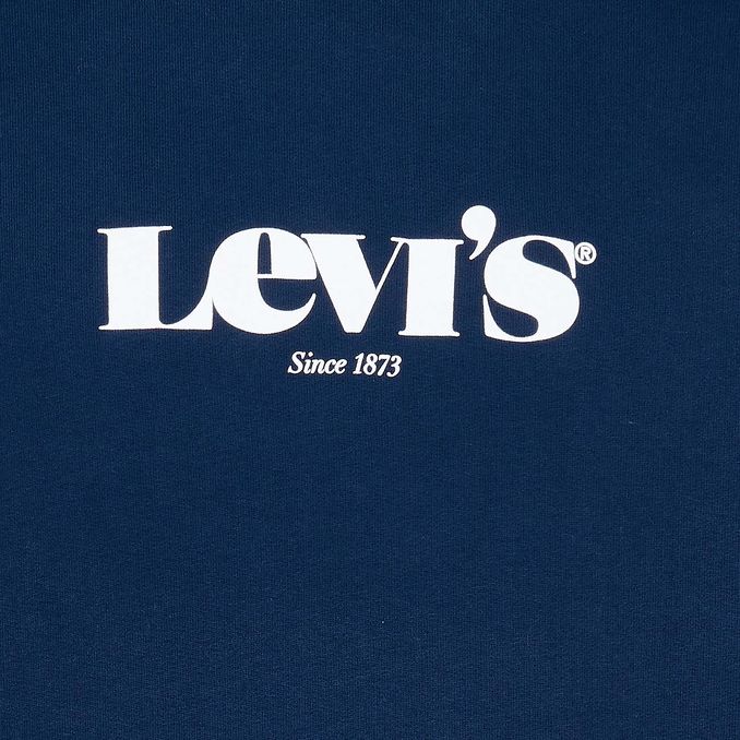 FELPA RELAXED GRAPHIC LOGO Uomo Dress Blues