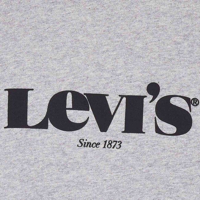 FELPA RELAXED GRAPHIC Uomo Light Grey Melange