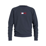 FELPA TIMELESS IN COTONE GARZATO Uomo Twiligh Navy FELPA TIMELESS IN COTONE GARZATO Uomo Twiligh Navy