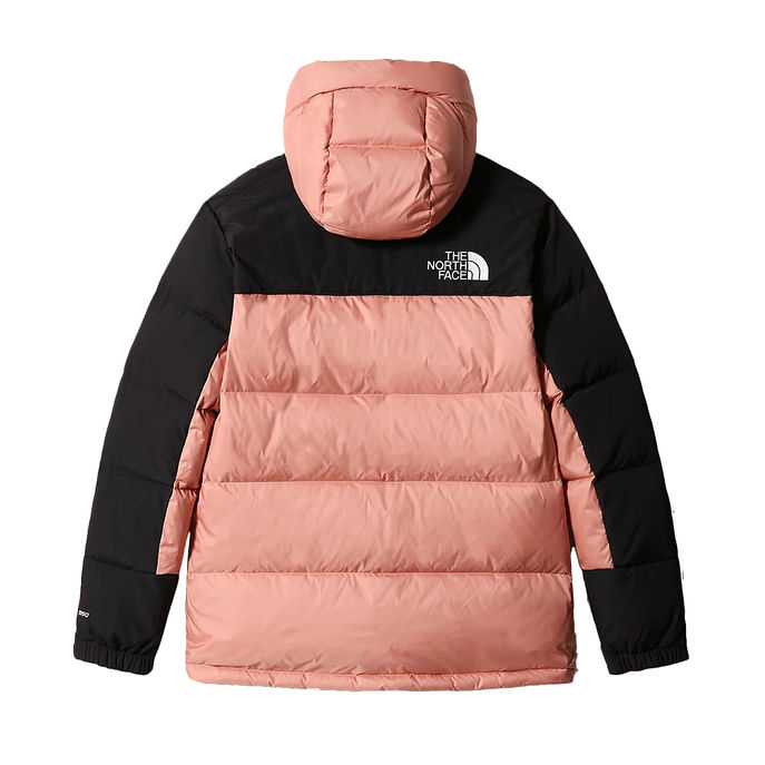 GIACCA HIMALAYAN Donna Rose Dawn