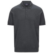 POLO PLEYNE POLO PLEYNE