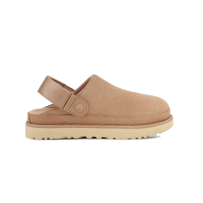 SABOT GOLDENSTAR Donna Driftwood