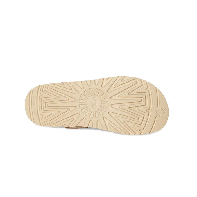 SABOT GOLDENSTAR Donna Driftwood