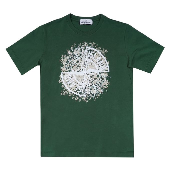 T-SHIRT CON MAXI STAMPA ROSA DEI VENTI Kids Verde