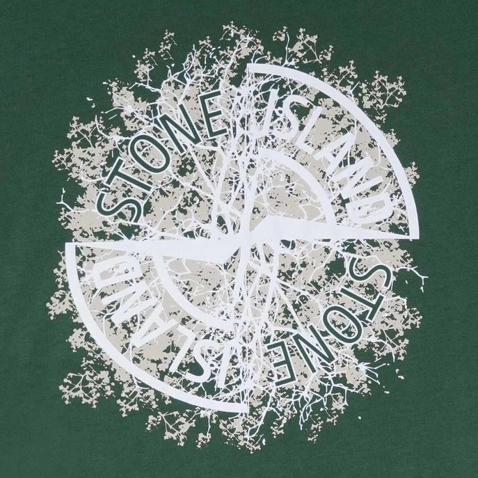 T-SHIRT CON MAXI STAMPA ROSA DEI VENTI Kids Verde