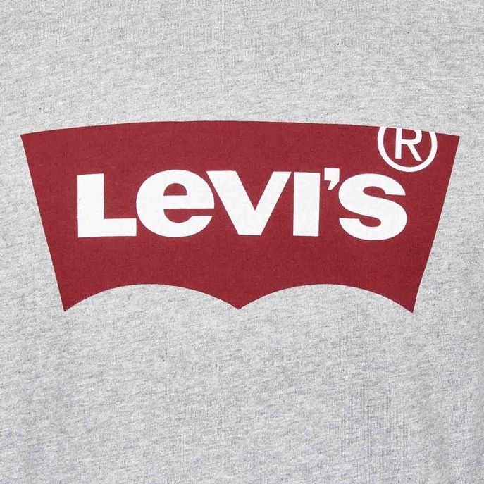 T-SHIRT GRAPHIC SETIN Uomo Grigio melange rosso