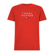 T-SHIRT STACKED FLAG Uomo Daring Scarlet T-SHIRT STACKED FLAG Uomo Daring Scarlet